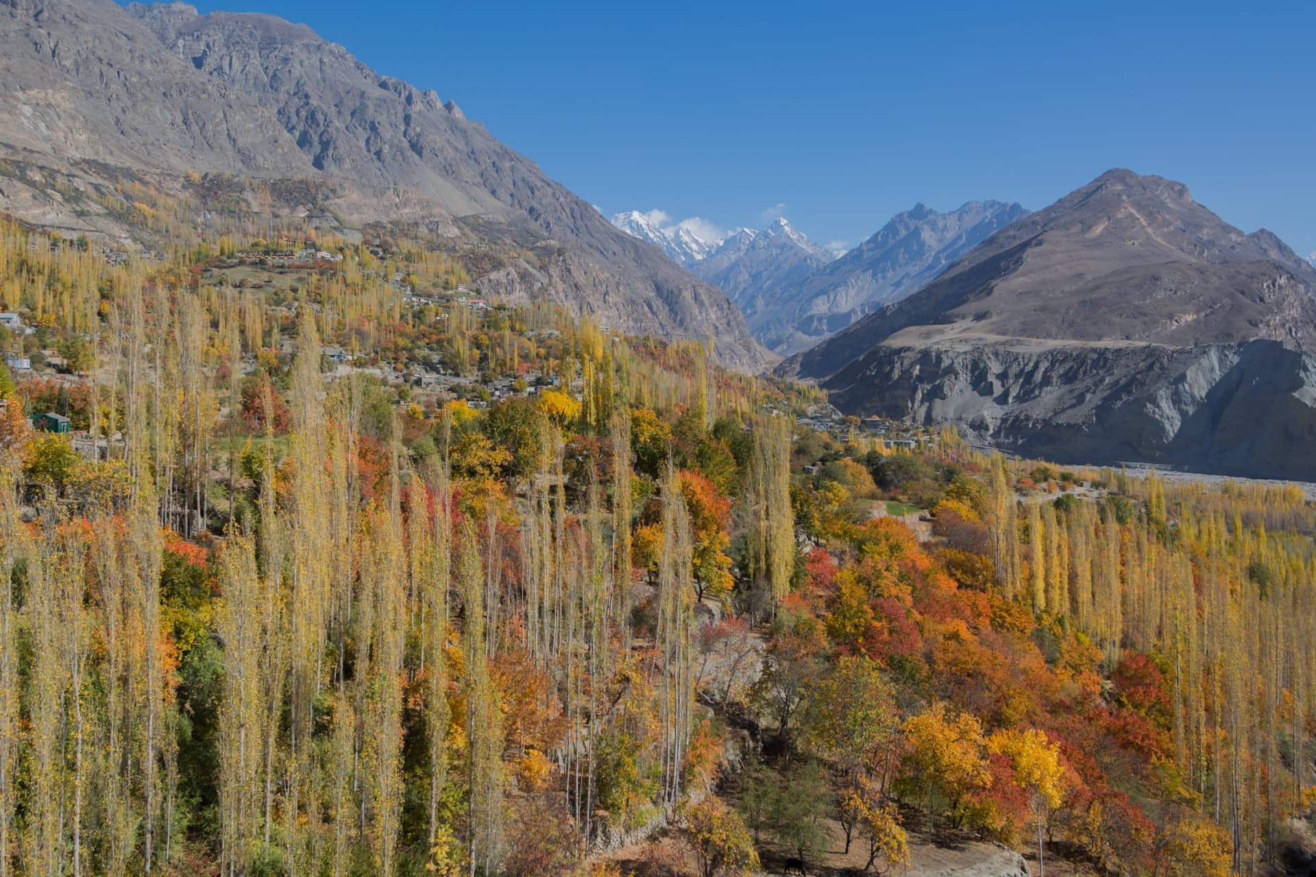 Autumn in Hunza (2026): When & Where to See It