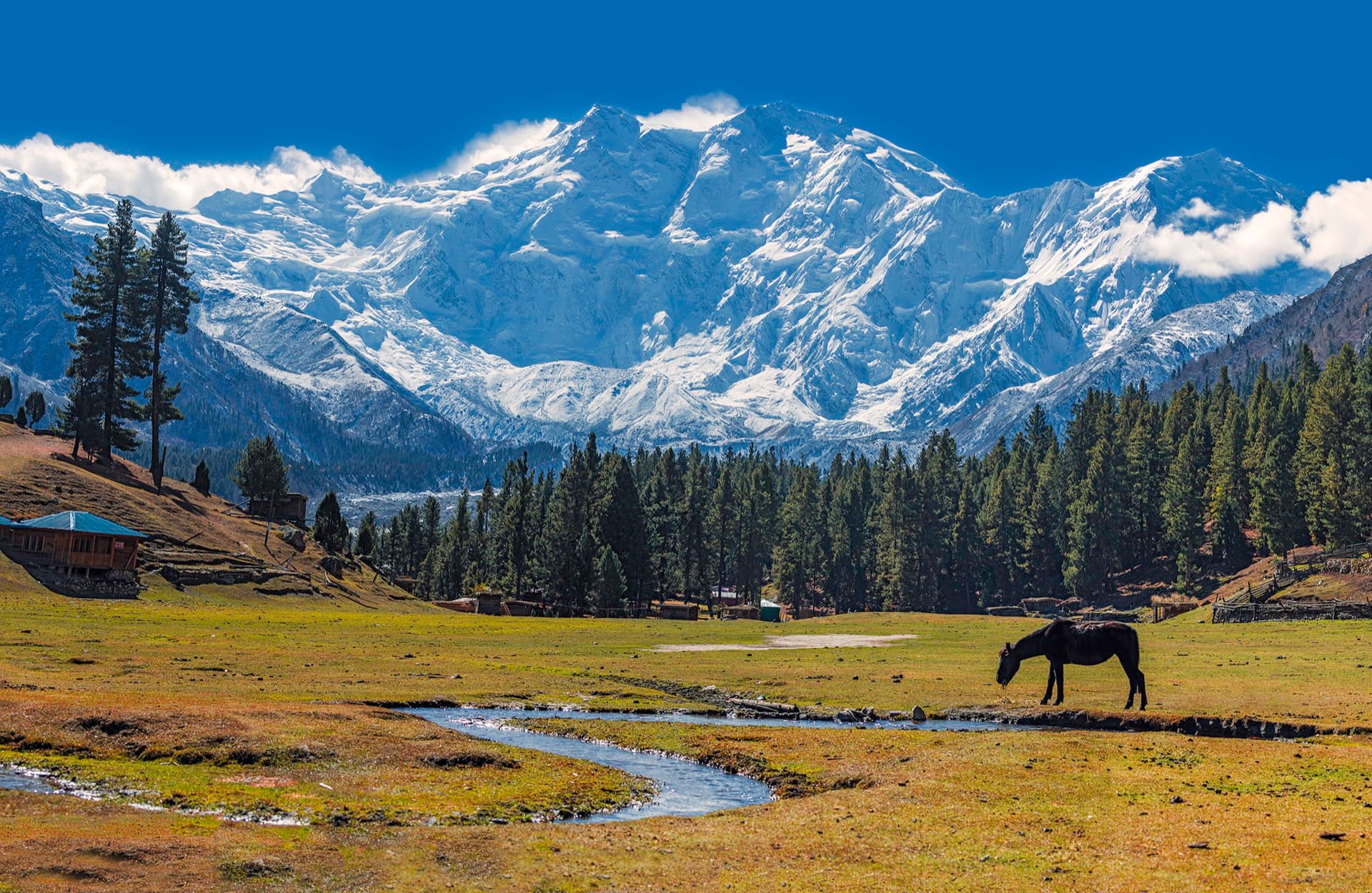 Fairy Meadows vs Deosai (2026): Which to Choose