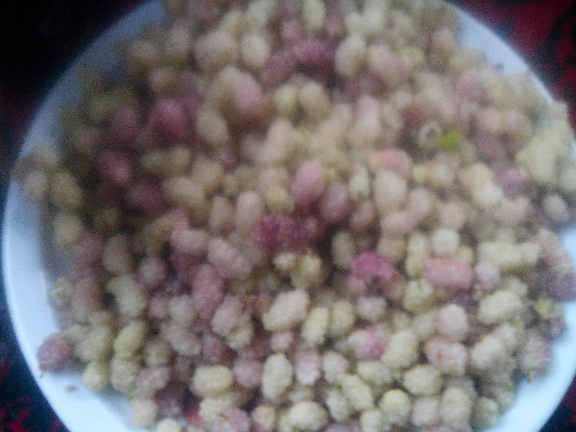 Hunza & Gilgit-Baltistan Food (2026): Mountain Cuisine