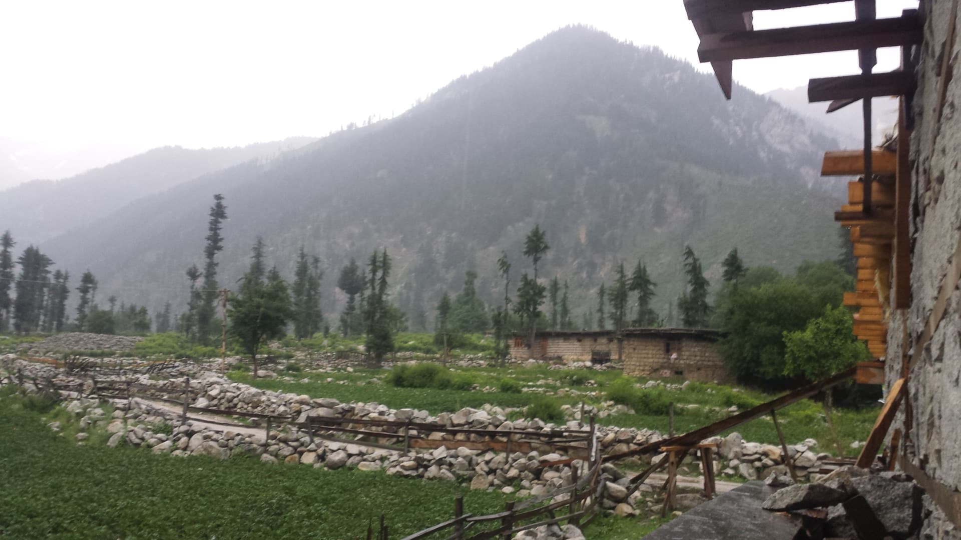 Kumrat vs Naran: Which Valley Should You Visit?